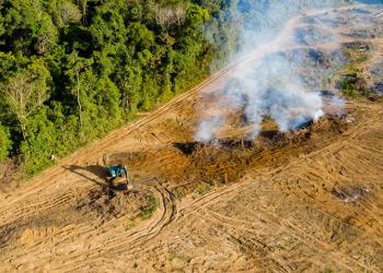 Tudo o que você precisa saber sobre licenciamento ambiental